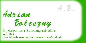 adrian boleszny business card